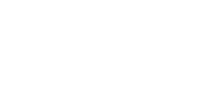 Carinvest